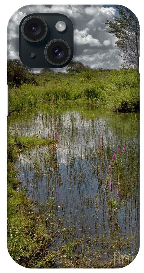 Braunton Burrows iPhone Case featuring the photograph Wet Dune Slack by Dr Keith Wheeler/science Photo Library