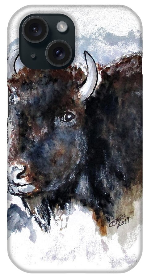American Buffalo iPhone Case featuring the painting What Do You Want? by Clyde J Kell