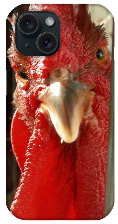 Rooster iPhone Case featuring the photograph What you lookin' at? by Jean Evans
