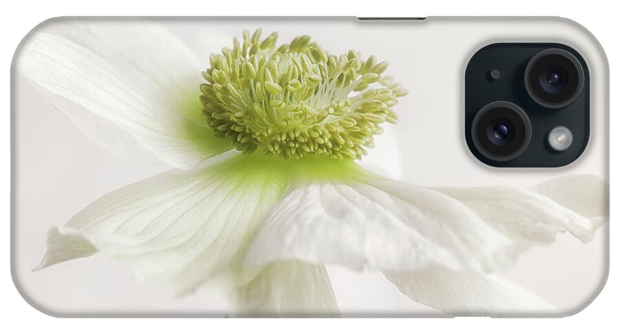 Photography
Photography iPhone Case featuring the photograph White Anemone Flower by Cora Niele