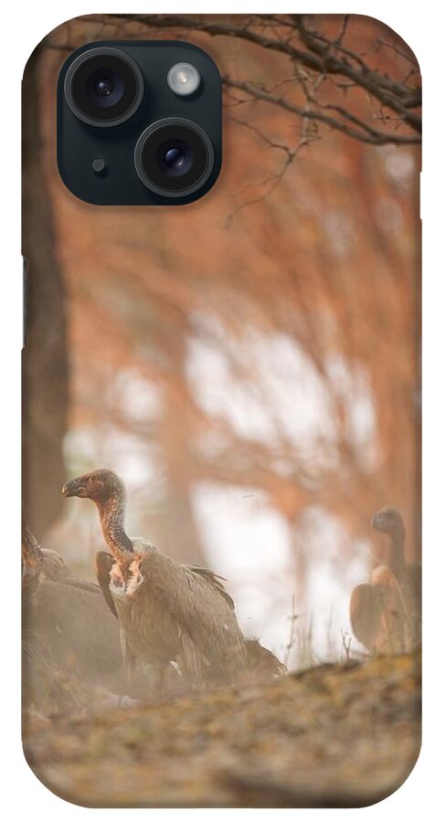 Animal Grouping iPhone Case featuring the digital art White-backed Vulture - Gyps Africanus - In Dust At Sunset by David Fettes
