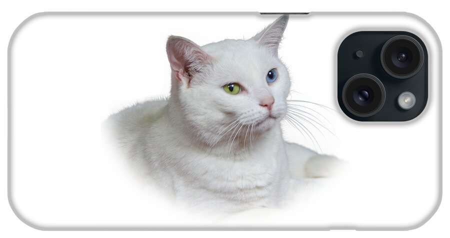 Fur iPhone Case featuring the photograph White Cat on a Transparent Heart by Terri Waters