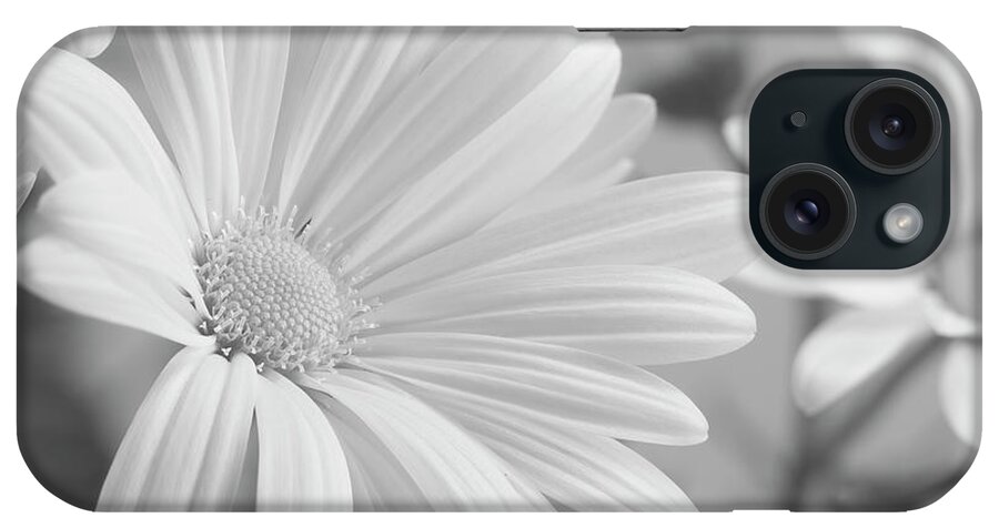 White Daisy B&w-07 iPhone Case featuring the photograph White Daisy B&w-07 by Gordon Semmens
