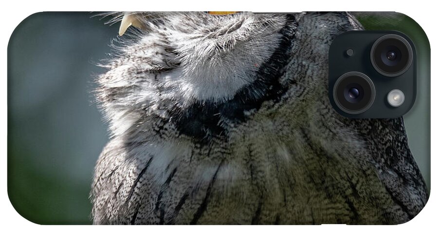 White-faced Scops iPhone Case featuring the photograph White-Faced Scops Owl by Hershey Art Images
