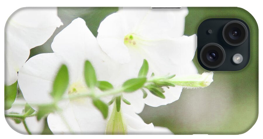 Outdoors iPhone Case featuring the photograph White Flowers In Summer by Peter Chadwick Lrps