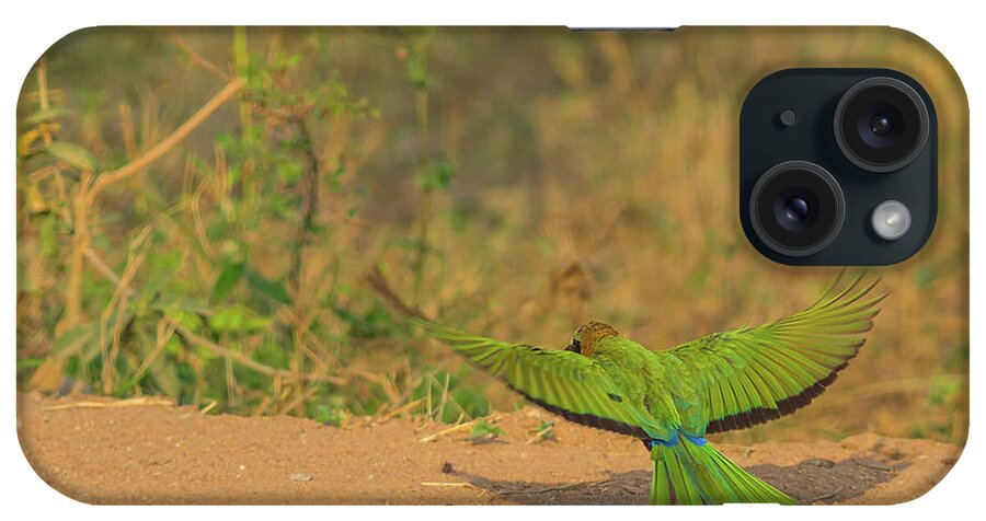 Bird iPhone Case featuring the photograph White Fronted Bee Eater Bird Flying by Benny Marty