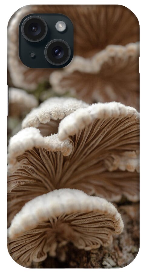 Schizophyllumfine Art iPhone Case featuring the photograph Schizophyllum Mushroom by Iris Richardson