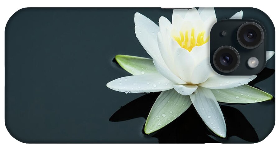 White Water Lily iPhone Case featuring the photograph White Water Lily by Todd Henson