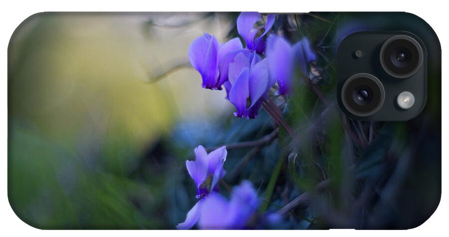 Flowers iPhone Case featuring the photograph Wild Cyclamen by Lidija Ivanek - SiLa