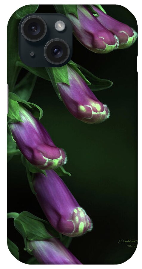 Wild Foxglove iPhone Case featuring the photograph Wild Foxglove by Jeanette C Landstrom