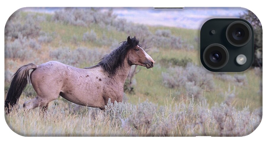 Wild Horse iPhone Case featuring the photograph Wild Horses 11 by Gordon Semmens