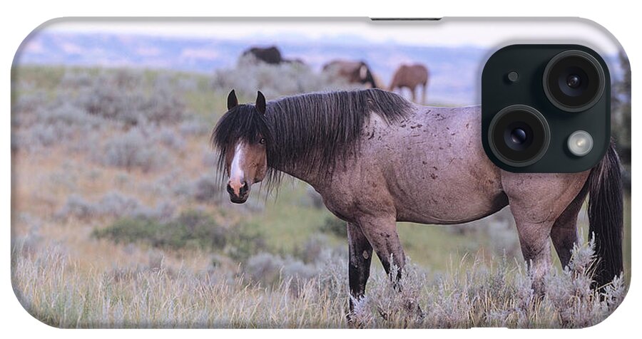 Wild Horses iPhone Case featuring the photograph Wild Horses 22 by Gordon Semmens