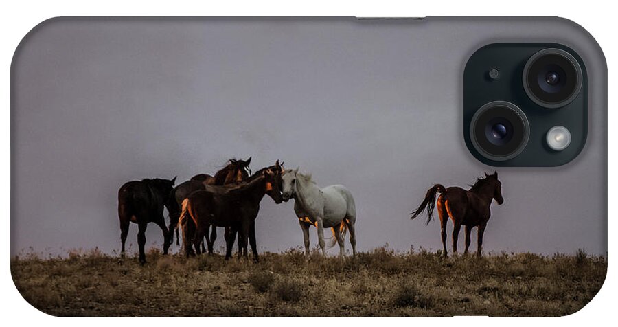 Mustang iPhone Case featuring the photograph Wild Horses in Ute Country #4 by Jonathan Thompson