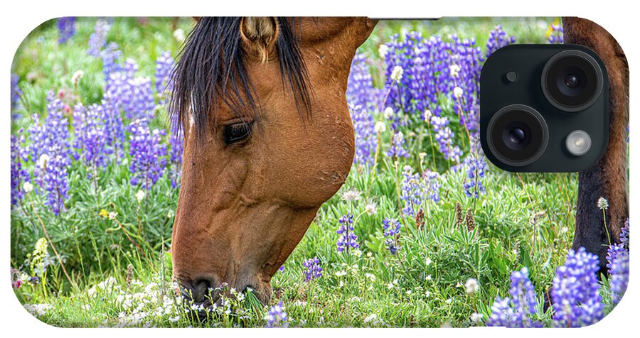 Pryor Mountain iPhone Case featuring the photograph Wild Mustang Summer Pasture by Douglas Wielfaert