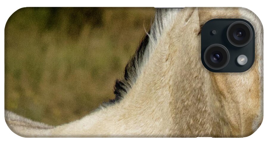 Andalusia iPhone Case featuring the photograph Wild Mustangs of New Mexico 5 by Catherine Sobredo