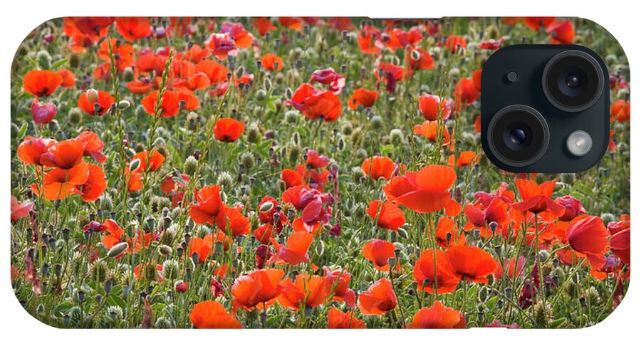 Panoramic iPhone Case featuring the photograph Wild Poppies, Val Dorcia, Pienza by David C Tomlinson