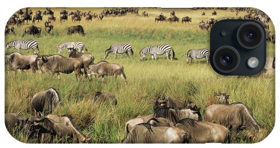 Plains Zebra iPhone Case featuring the photograph Wildebeest And Common Zebra Migration by James Warwick