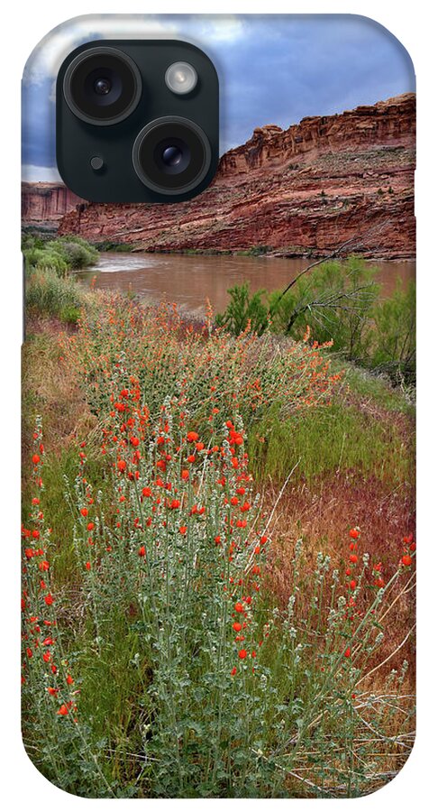 Highway 128 iPhone Case featuring the photograph Wildflowers along Colorado River and Highway 128 by Ray Mathis