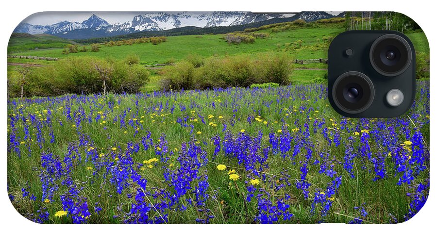 Ouray iPhone Case featuring the photograph Wildflowers along Last Dollar Road by Ray Mathis