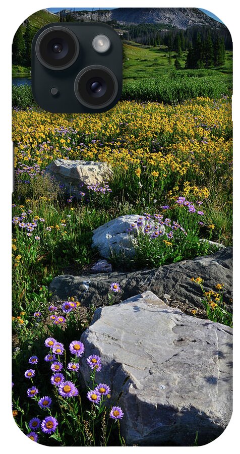 Snowy Range Mountains iPhone Case featuring the photograph Wildflowers Bloom in Snowy Range by Ray Mathis