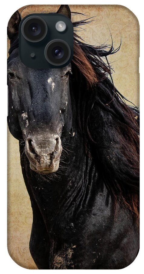 Wild Horses iPhone Case featuring the photograph Wildly Handsome by Mary Hone