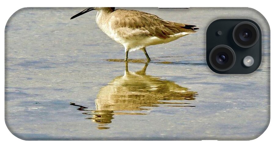 Brown iPhone Case featuring the photograph Willet by Susan Rydberg