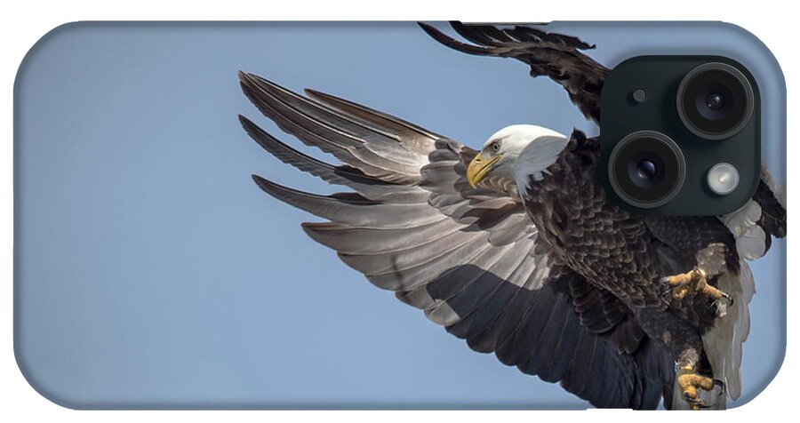 Bald Eagle iPhone Case featuring the photograph Wings by Laura Hedien