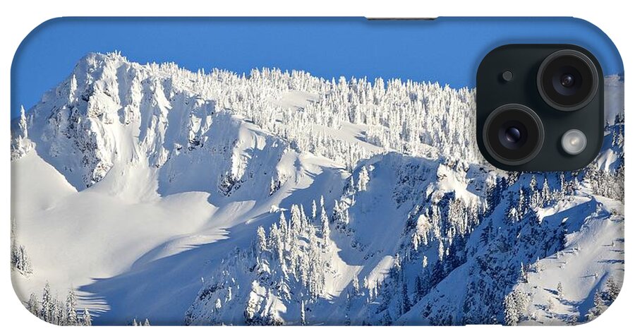 Snow iPhone Case featuring the photograph Winter by Dorrene BrownButterfield