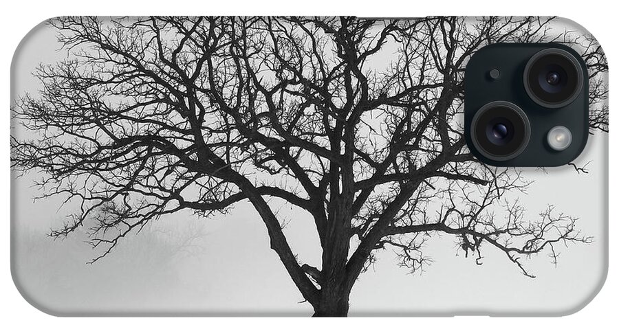 Winter iPhone Case featuring the photograph Winter Majestic by Wild Thing