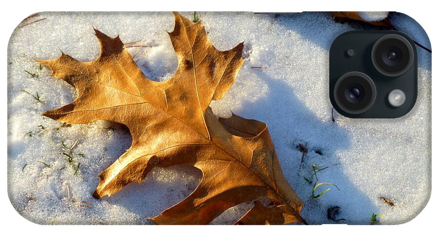 Winter iPhone Case featuring the photograph Winter Sunlight by Lyuba Filatova