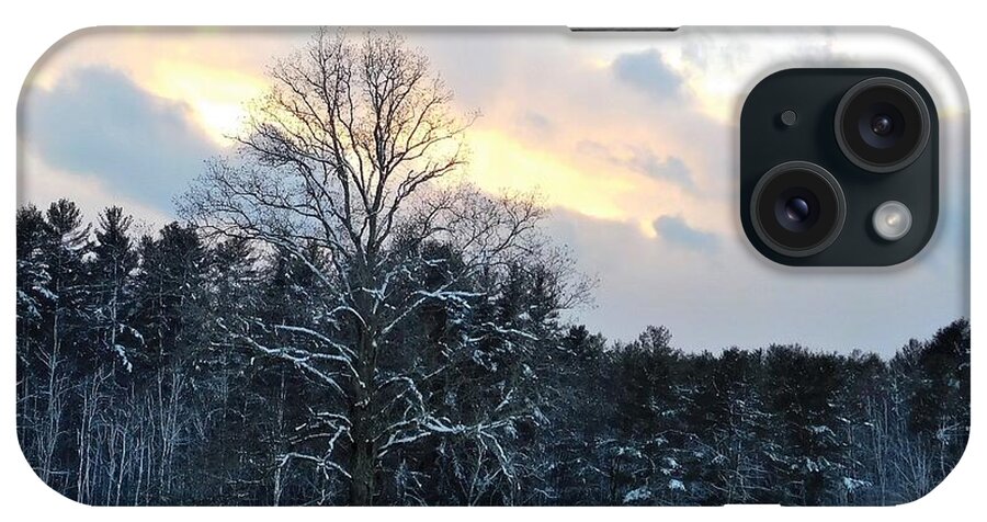 Snow iPhone Case featuring the photograph - Winter Sunset by THERESA Nye