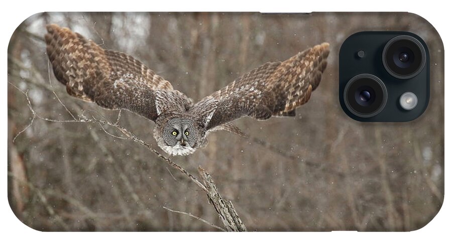 Great Gray Owl iPhone Case featuring the photograph Wisdom on wings by Heather King