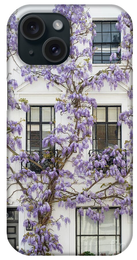 Wisteria Sinensis iPhone Case featuring the photograph Wisteria in Canning Place Kensington by Tim Gainey