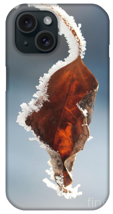 Colorado iPhone Case featuring the photograph Wither and Frost by Julia McHugh