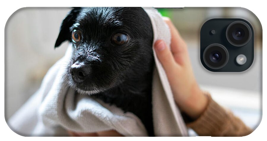 Drying Dog iPhone Case featuring the photograph Woman Drying A Black Dog With A Towel. by Cavan Images
