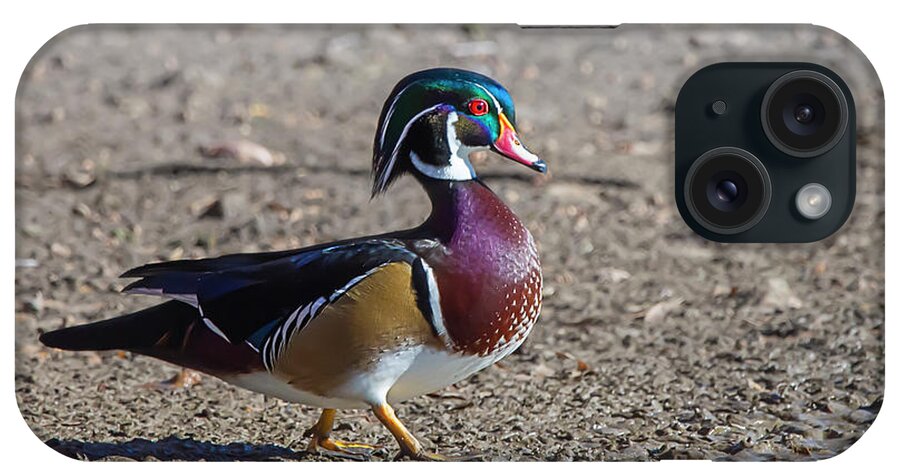 Wood Duck iPhone Case featuring the photograph Wood Duck 3 by Rick Mosher