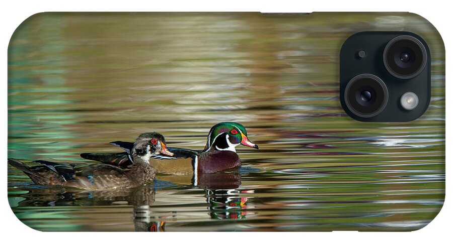 Wood Duck iPhone Case featuring the photograph Wood Ducks by Rick Mosher