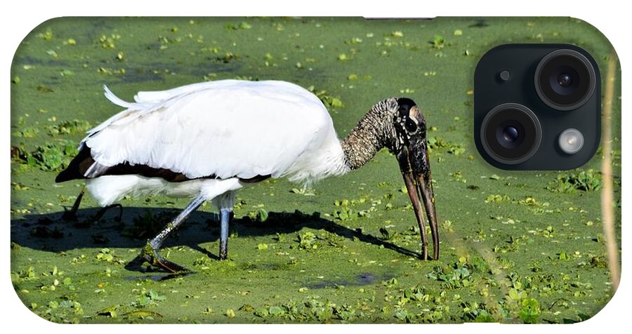 Wood Stork On The Hunt iPhone Case featuring the photograph Wood Stork On the Hunt by Warren Thompson