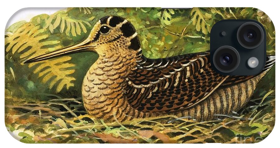 Wildlife iPhone Case featuring the painting Woodcock by Rb Davis