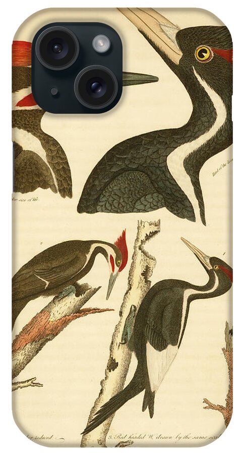 Birds iPhone 15 Case featuring the mixed media Woodpeckers by Alexander Wilson