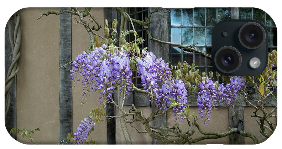 Wisteria iPhone Case featuring the photograph Ye Olde Wisteria by Tim Gainey