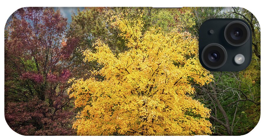 Yellow Leaves iPhone Case featuring the photograph Yellow Autumn by Ed Taylor