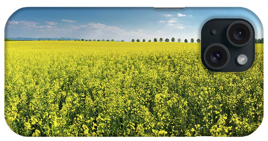 Canola iPhone Case featuring the photograph Yellow Canola Field and blue Sky Spring Landscape by Matthias Hauser