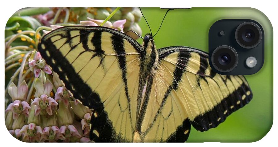 Butterfly iPhone Case featuring the photograph Yellow Swallowtail Butterfly by Susan Rydberg