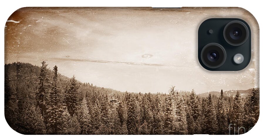 Yosemite iPhone Case featuring the photograph Yosemite National Park Forest of Trees Collection A Vintage Look by John Shiron