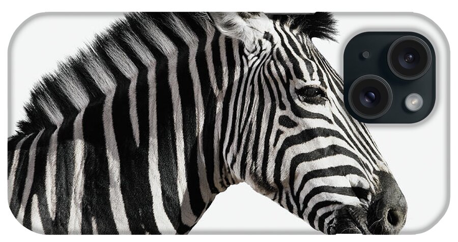 Plains Zebra iPhone Case featuring the photograph Zebra Equus Burchellii, Side Vew by Martin Barraud