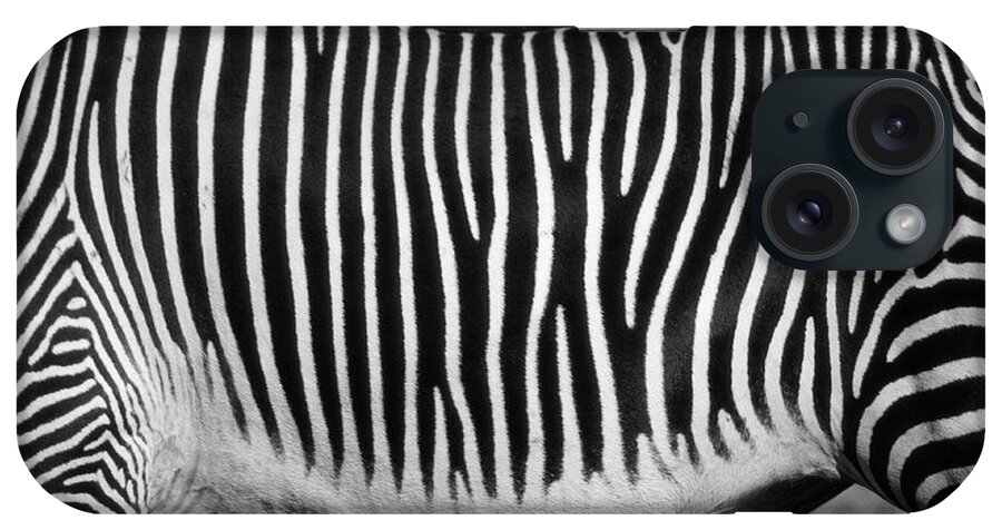 Animal Themes iPhone Case featuring the photograph Zebra Equus Sp. Mid Section, Close-up by Henry Horenstein