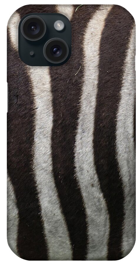 Zebra iPhone Case featuring the photograph Zebra by Minnie Gallman