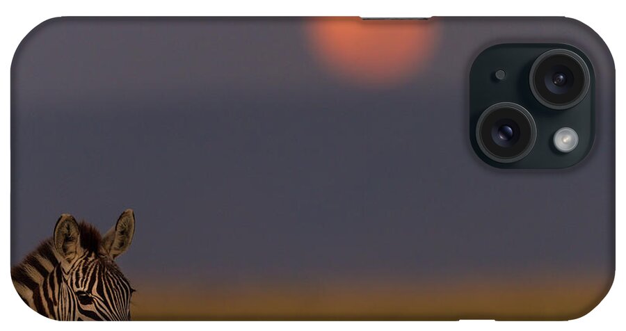Plains Zebra iPhone Case featuring the photograph Zebra On Mara Plains In Moonlight by Manoj Shah