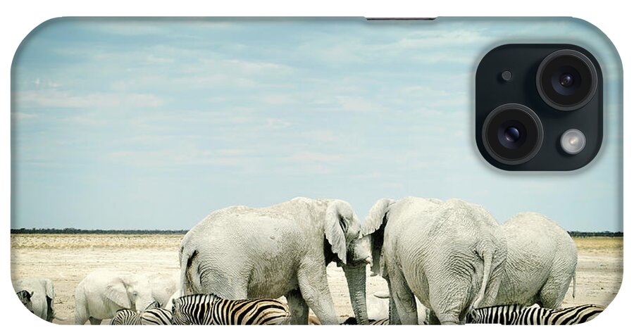 Plains Zebra iPhone Case featuring the photograph Zebras And African Elephants In Etosha by Brytta